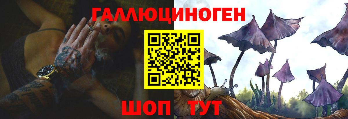 Псилоцибиновые грибы GOLDEN TEACHER  Псилоцибиновые грибы GOLDEN TEACHER  Дзержинск  закладки  Вход с VPN 